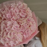 Букет из 5 розовых гортензий