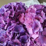 Букет «Индиго»