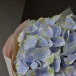 Букет из 3 голубых гортензий