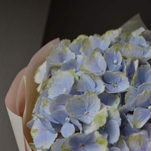 Букет из 3 голубых гортензий