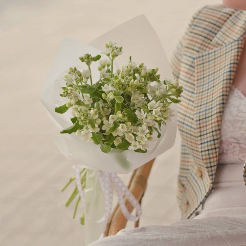 Монобукет «Твидия»