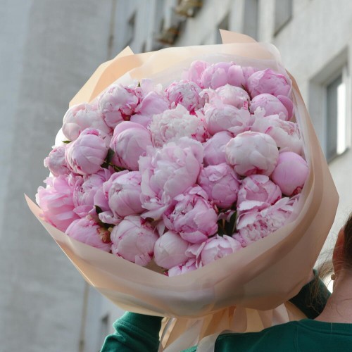 Bouquet of 35 peonies Sarah Bernhardt