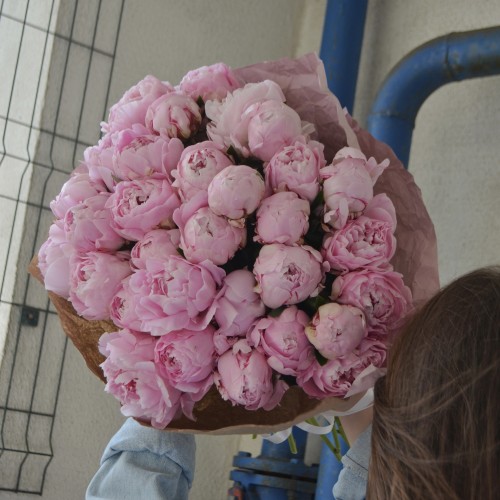 Букет из 31 пиона Sarah Bernhardt