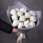 13 белых пионов