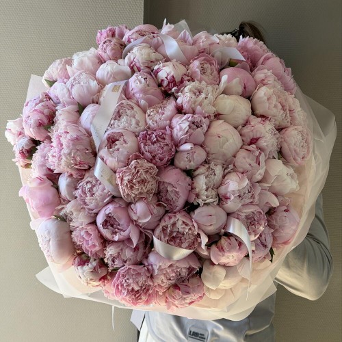 Bouquet of 81 peonies Sarah Bernhardt