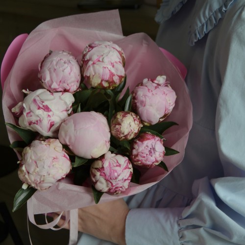 Букет из 9 пионов Sarah Bernhardt