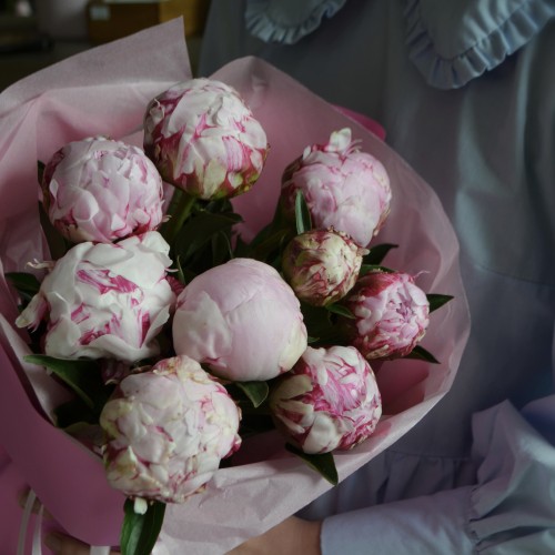 Букет из 9 пионов Sarah Bernhardt