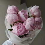 Букет из 7 пионов Sarah Bernhardt