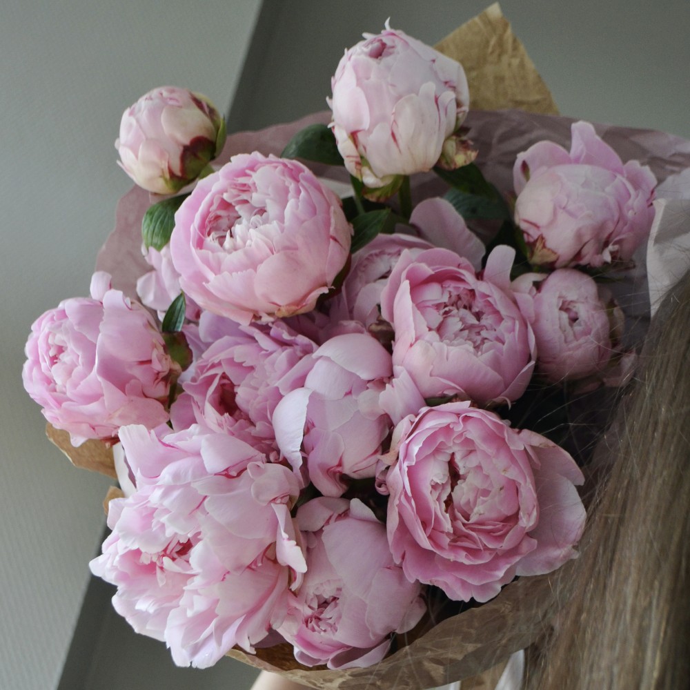 Peony season, how long have we been waiting for it! - Flower delivery in Minsk