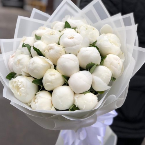 21 белый пион