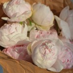 Букет из 11 пионов