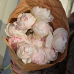 Букет из 11 пионов