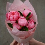 Букет из 5 пионов Salmon