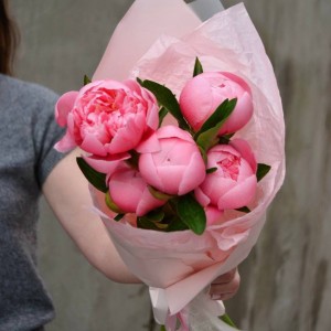 Букет из 5 пионов Salmon