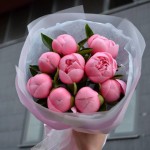 Bouquet of 9 Salmon Peonies