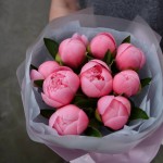 Bouquet of 9 Salmon Peonies