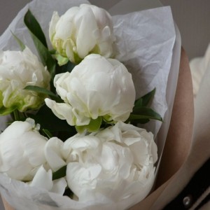 Букет из 5 пионов белых