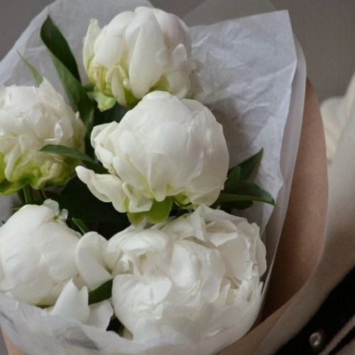 Букет из 5 пионов белых