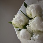 Букет из 5 пионов белых