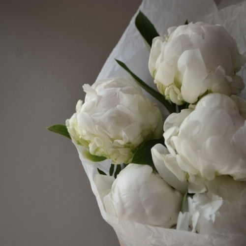 Букет из 5 пионов белых