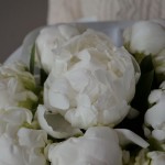 Букет из 9 пионов белых