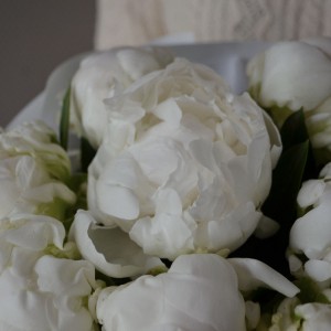 Букет из 9 пионов белых