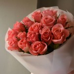 15 pink roses