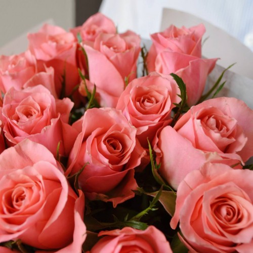 21 pink roses