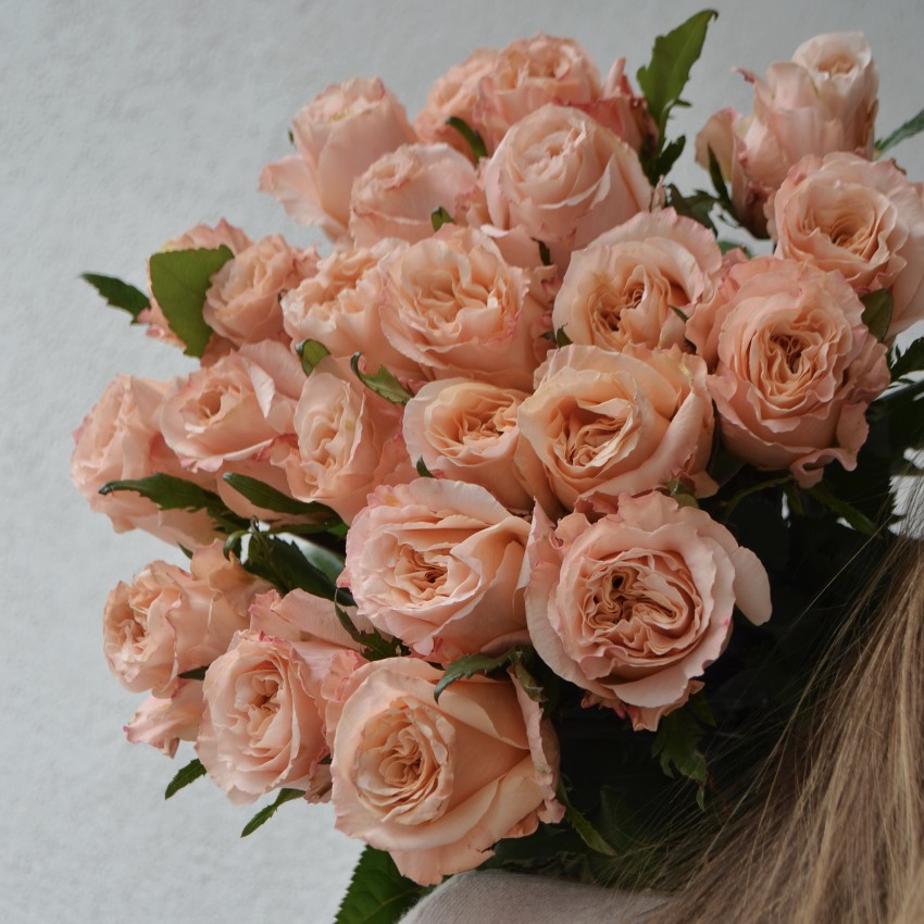 Какие розы дарить: всё о языке оттенков