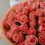35 pink roses