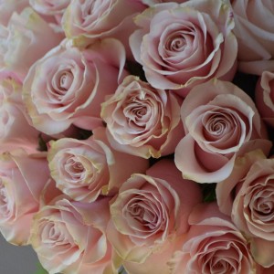 Букет из 51 розы Pink Mondial