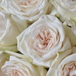 Букет из 11 роз White Ohara