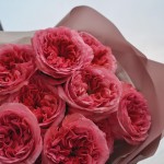 Bouquet of peony roses Candy Expression, M