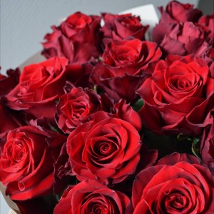 Букет из 21 розы Explorer