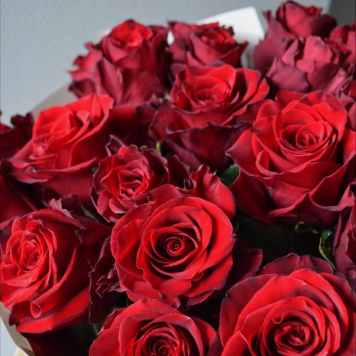 Букет из 21 розы Explorer