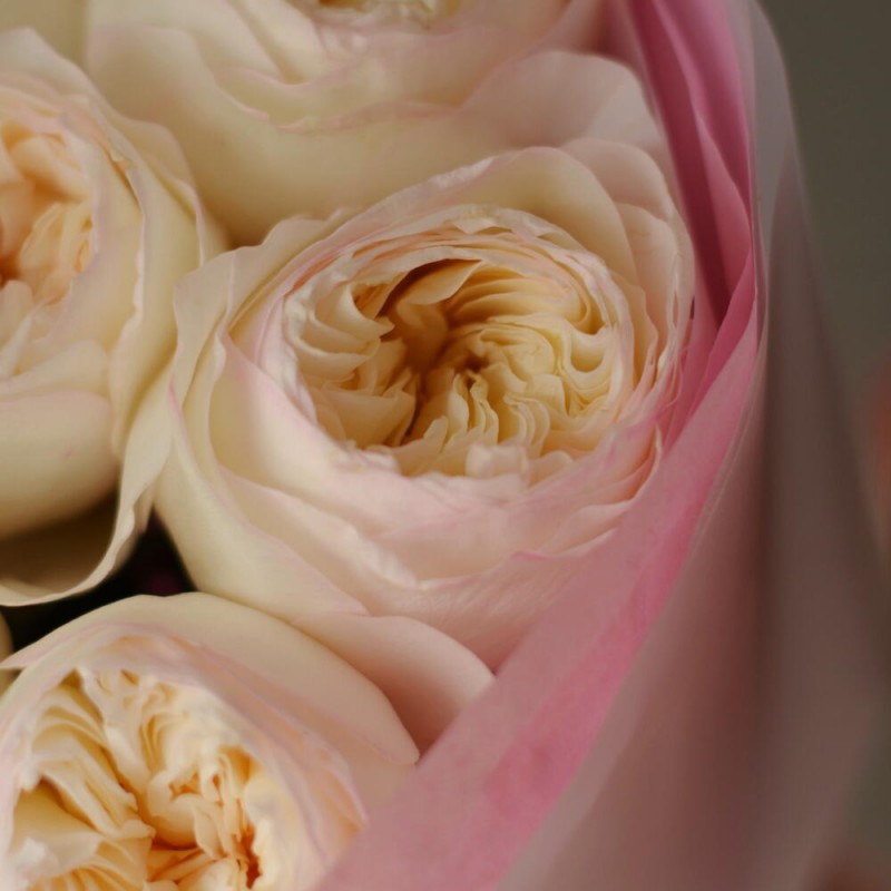 Bouquet of peony roses Aurora, S