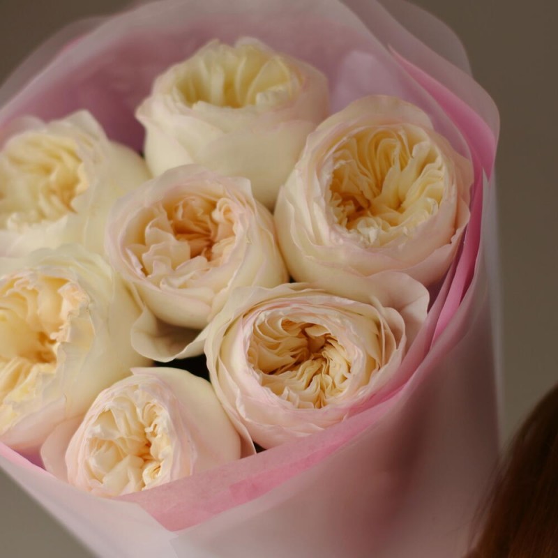 Bouquet of peony roses Aurora, S