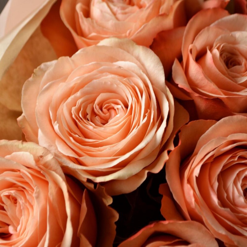 Kahala Peony Rose Bouquet, S