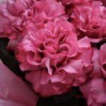 Букет «Блюз»