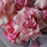 Букет из 7 французских роз Magic