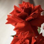 Букет «Нина»