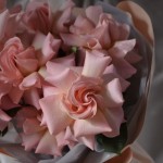 Букет «Гипноз»