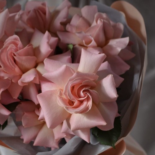 Bouquet “Hypnosis”