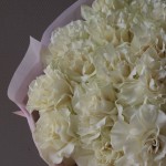 Букет из 21 французской розы