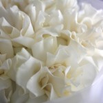 Букет из 7 французских роз