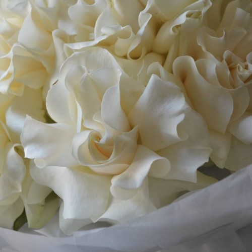 Букет из 11 французских роз белых