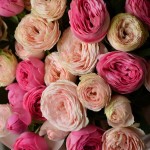 Букет «Лола»