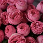 Букет «Миледи»