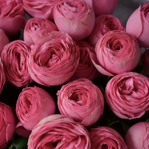 Букет «Миледи»