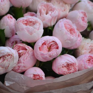 Букет «Пудра»